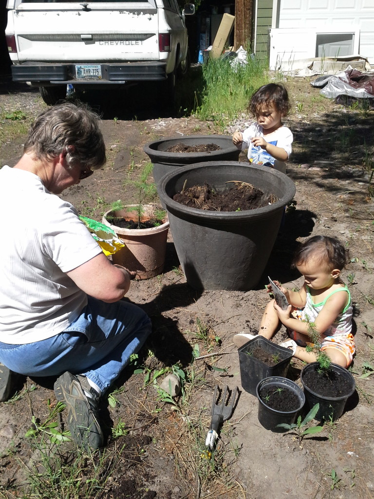 Gardening  with Aunt Sheryl. 06 June 2015