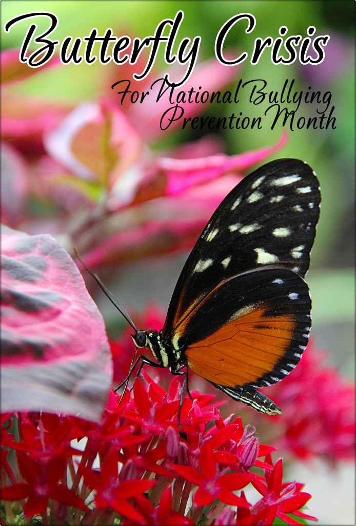 Butterfly Crisis - from pixabay - raves and rants - national bullying month - readingruffolos - main photo